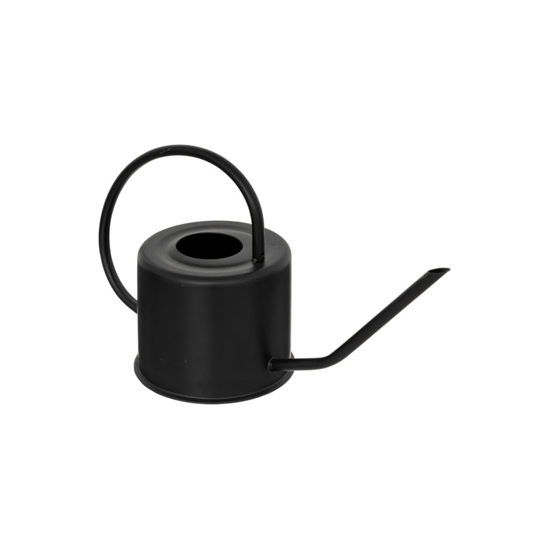 Metal Watering Can