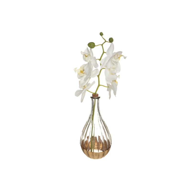 40cm Orchid With Glass Vase