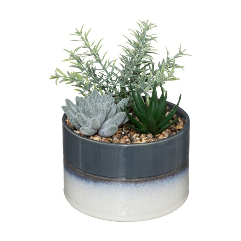 Ceramic Pot Plant