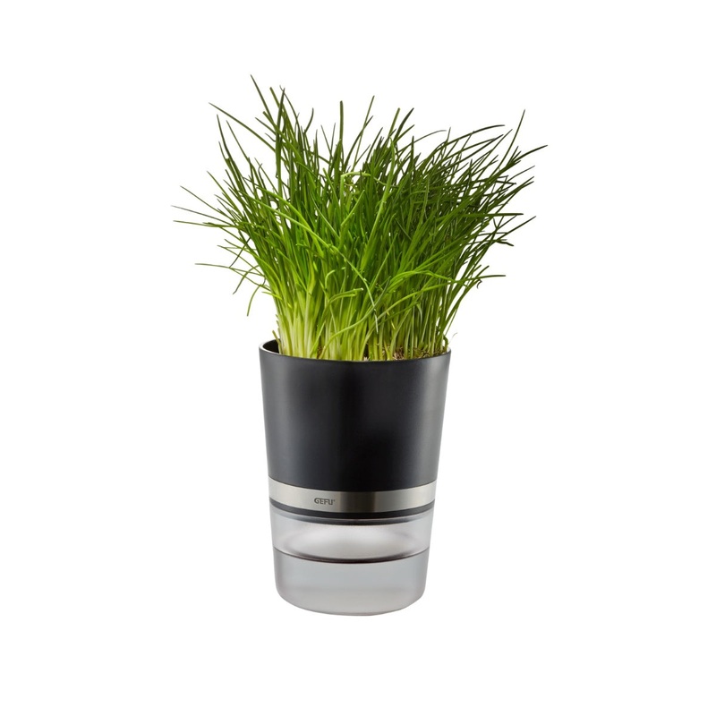 Gefu Bontanico Herb Pot