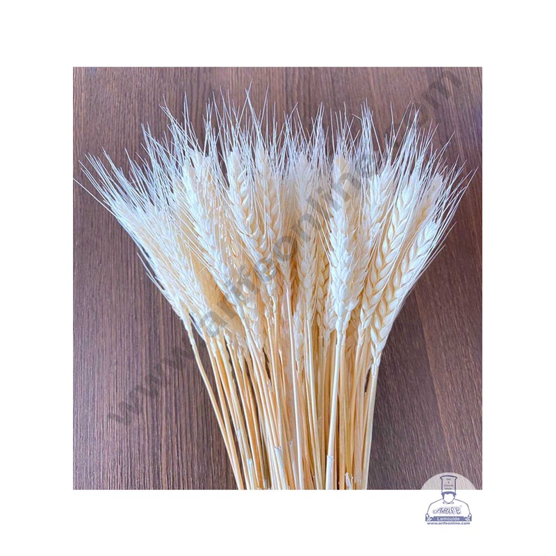 CAKE DECOR Natural White Color Dried Wheat Grass Wheat Stalks For Cake Decoration Bouquet Wedding Party Centerpieces Decorative - White (50pcs pack)