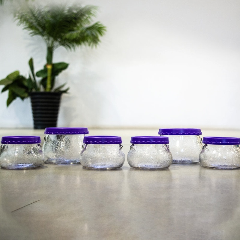 Yera Felixa Handi Combination Gift Set | Glass Storage Jar with Plastic Lid | Transparent & Purple | Set of 6 Pcs