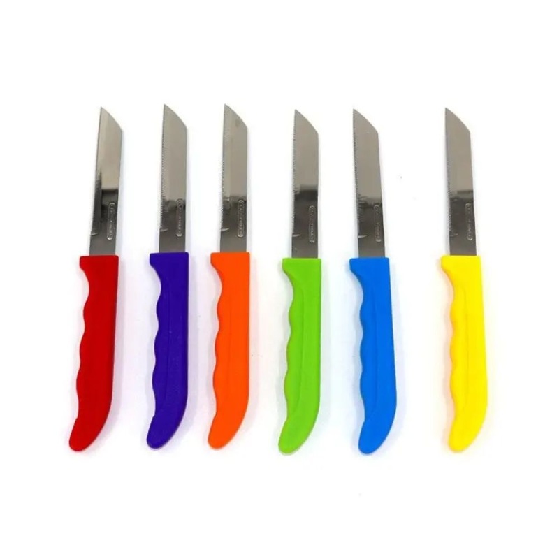 Classy Touch Stainless Steel Kitchen Knife Set | Set of 6 Pcs