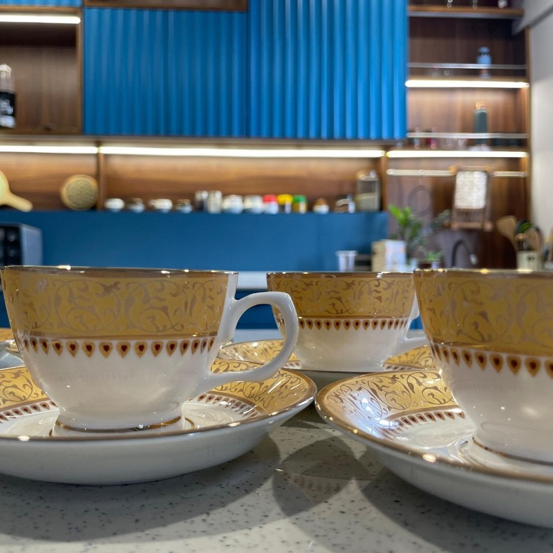 Oasis Italian Printed Cup Saucer Set | 120 ML | Set of 12 Pcs