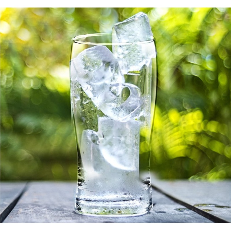 Treo Rosebell 250 ML Tumbler | Transparent | Set of 6 Pcs