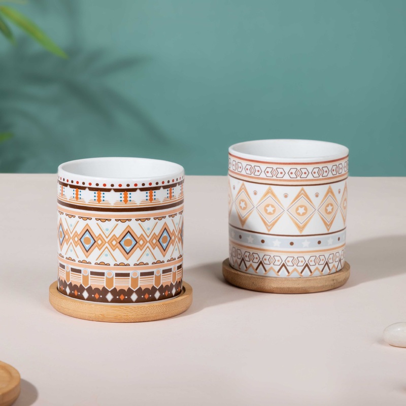 Botanic Expressions Ceramic Planter With Coaster Set Of 2