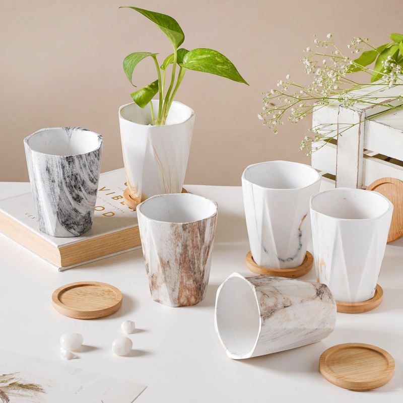 Marble Wonder Flower Planter With Coaster Set Of 6