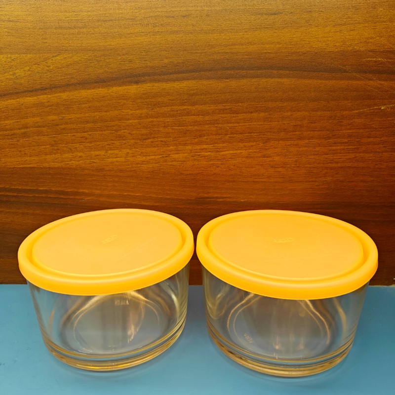 Yera Freezowarm Bowls with Lids - 785 ml - Set of 2 Pieces