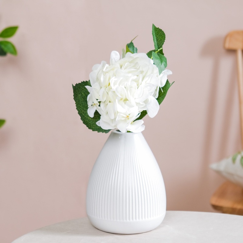 Hydrangea With Leaves White