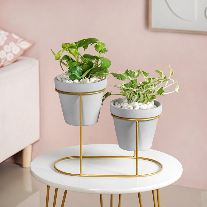 TerraDuo Grey Planters Pair With Gold Stand