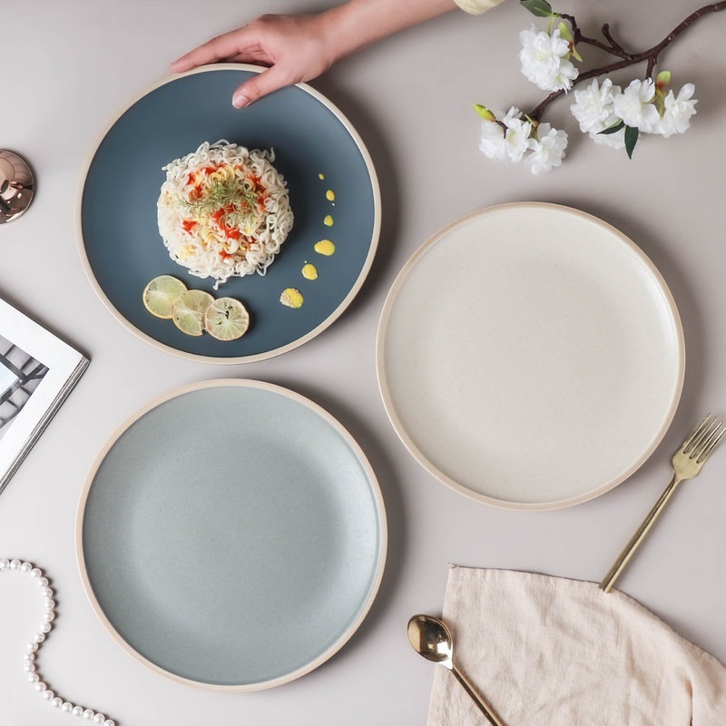 Stoneware Matte Dinner Plate
