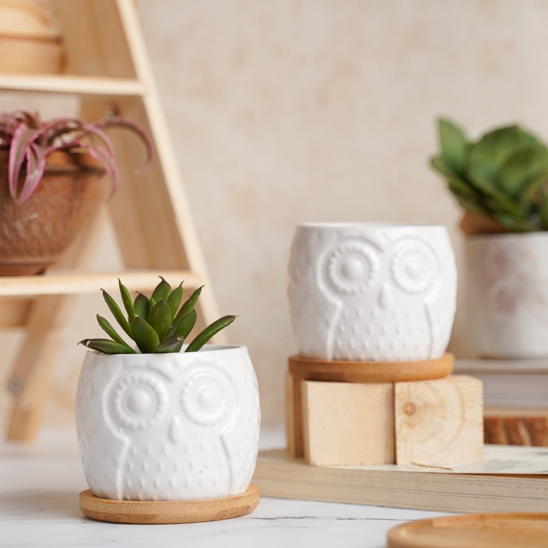 Owl Ceramic Pot