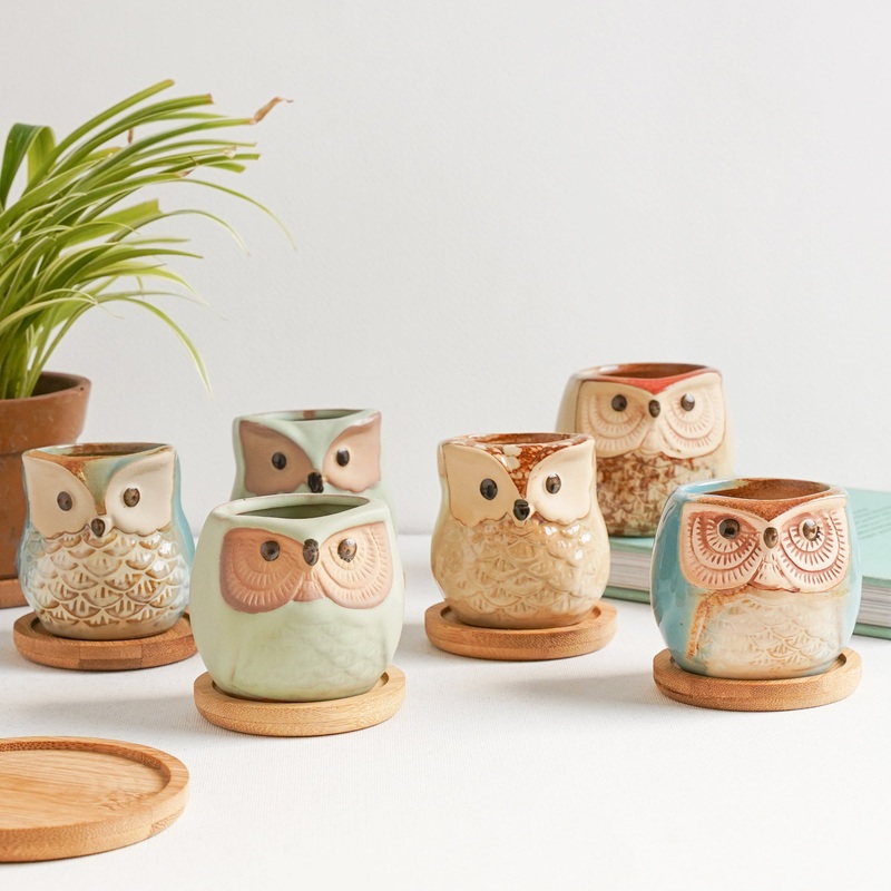Owl Planters Set of 6