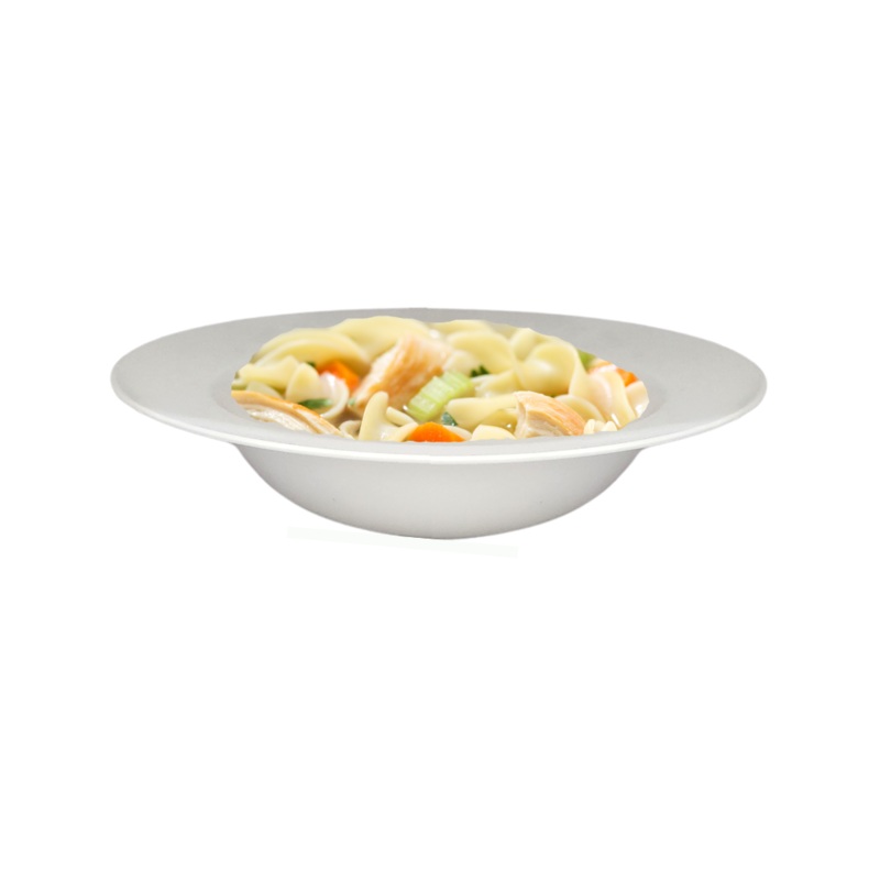 23cm Porcelain Soup Plate