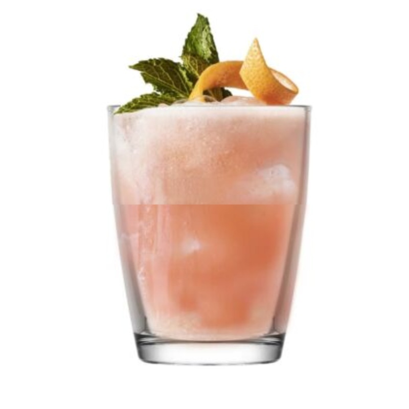 6 Piece 270ml Vega Juice Glass