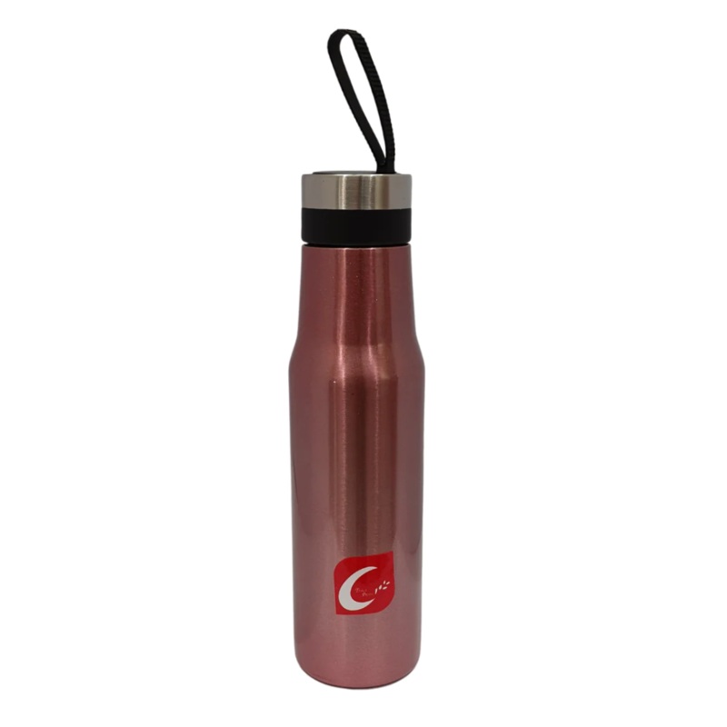 Rose Gold 500ml Stainless Steel Sports Bottle With Hook
