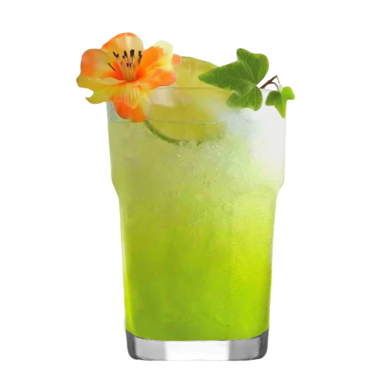 48 Piece 300ml Aras Long Drink Glass