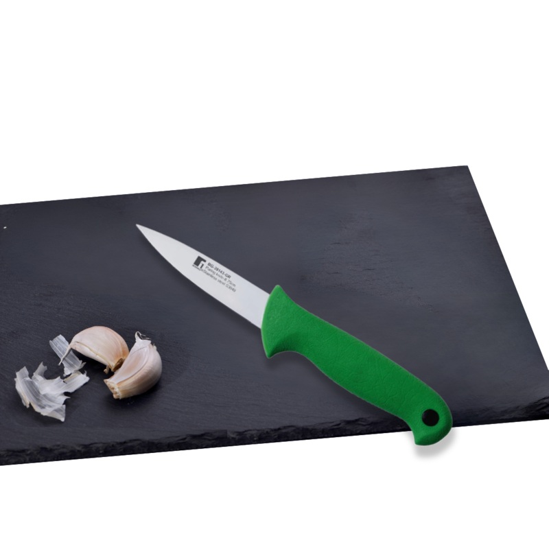 Stainless Steel Paring Knife