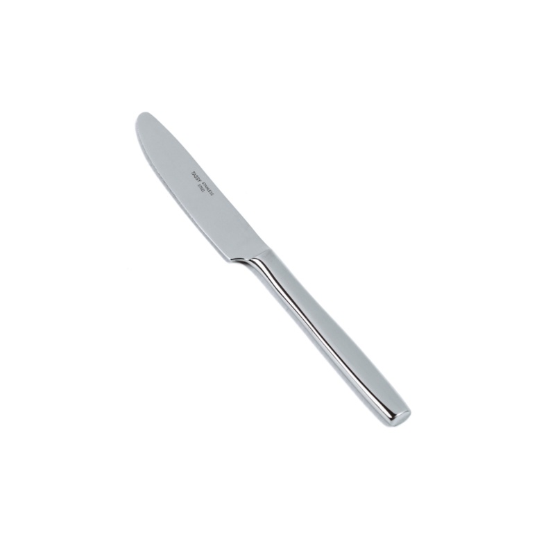 12 Piece Tassy Stainless Steel Table Knife
