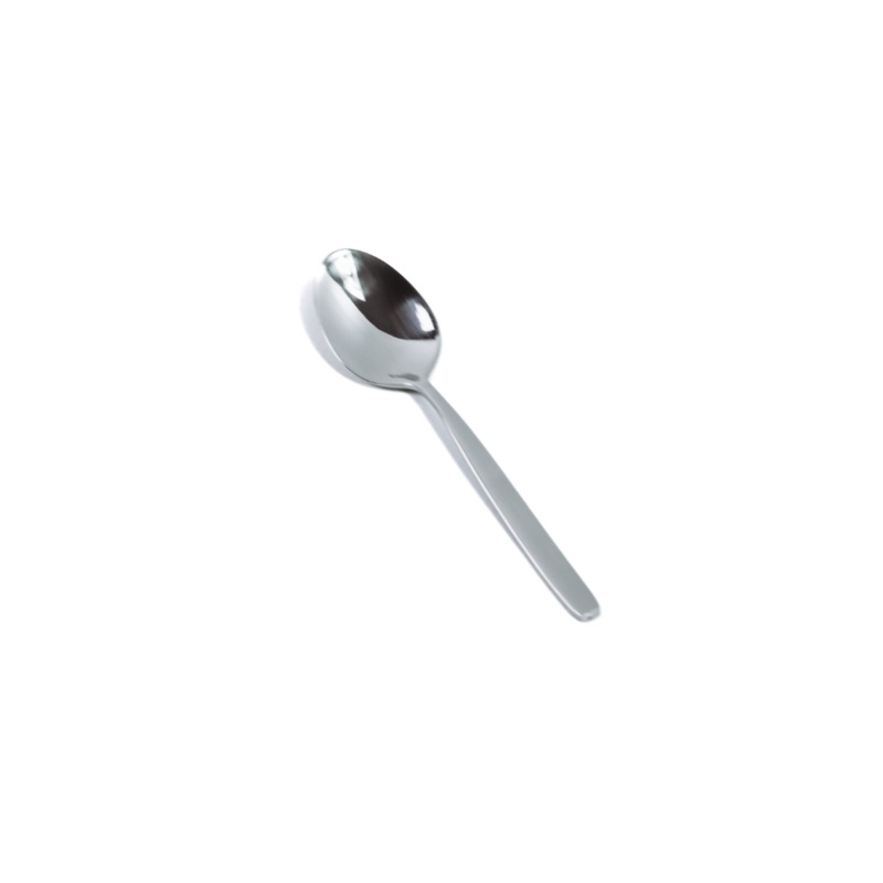 12 Piece Tassy Stainless Steel Tea Spoon