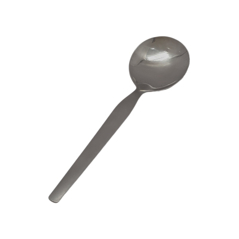 Shiny Stainless Steel Curry Spoon
