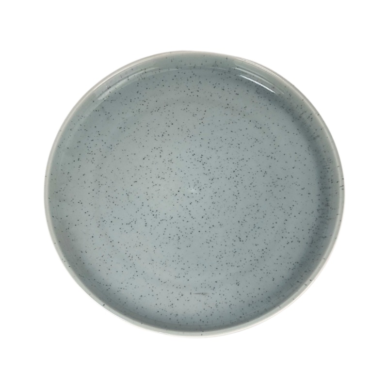 10 Inch Dinner Plate
