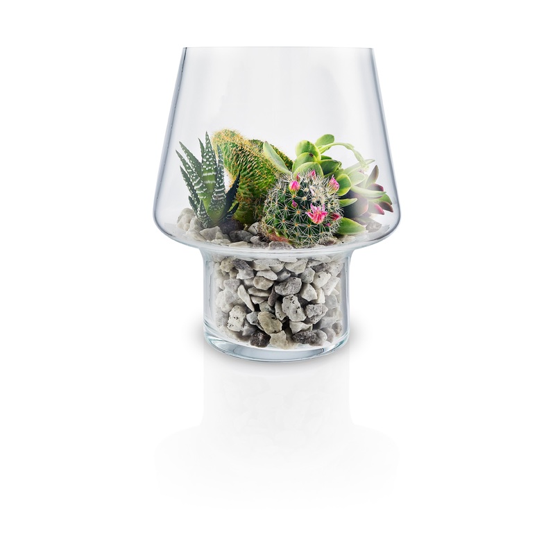 Succulent glass vase 15cm