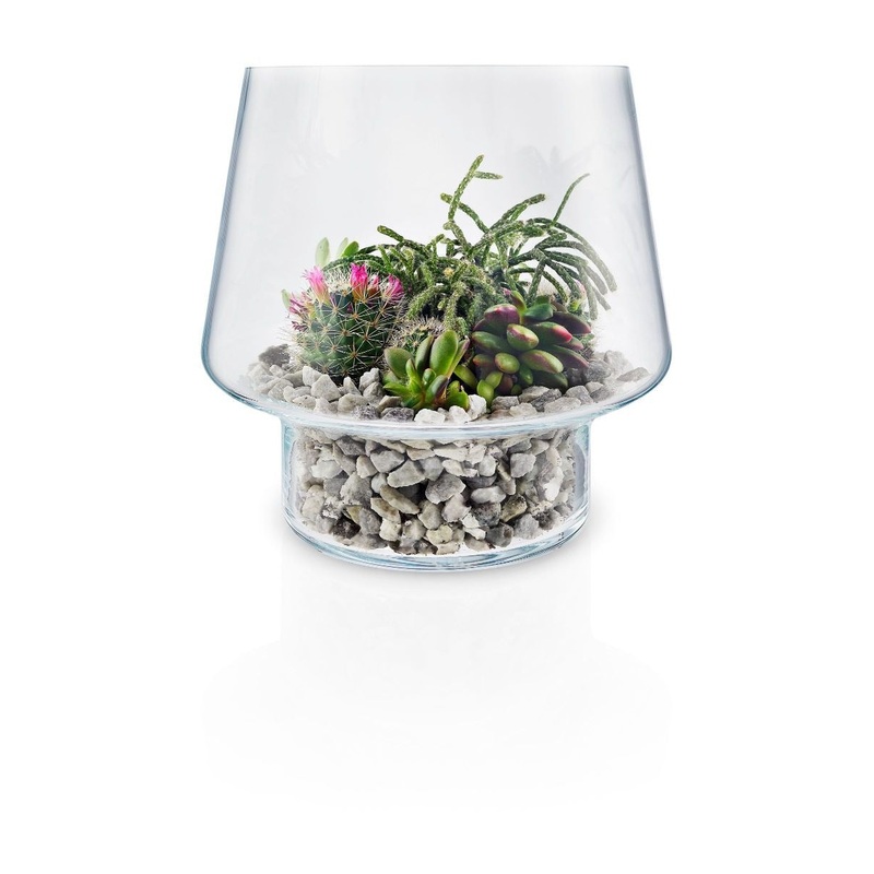 Succulent glass vase 21cm