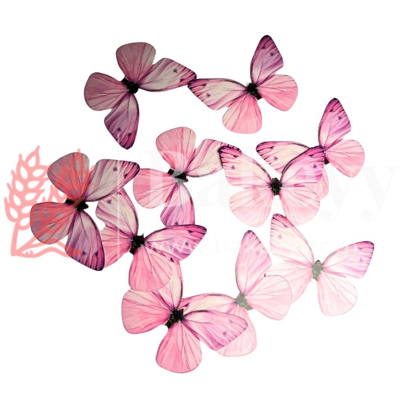 B2 Pink| Butterfly Themed Cake Toppers | Decorative Party Cake Accessories| Birthday cake decorations |6cm X 5.5cm| Pack of 10