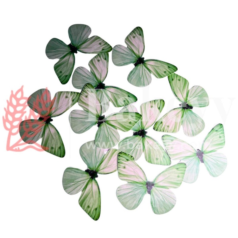 B3 Green| Butterfly Themed Cake Toppers | Decorative Party Cake Accessories| Birthday cake decorations |6cm X 5.5cm| Pack of 10