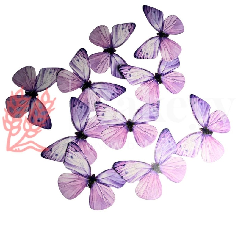 B6 Purple| Butterfly Themed Cake Toppers | Decorative Party Cake Accessories| Birthday cake decorations |6cm X 5.5cm| Pack of 10