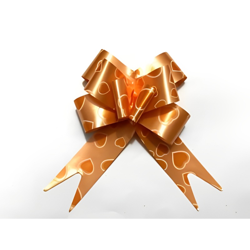 Printed Orange | Pull up Ribbon Mixed Designs | Pack of 10