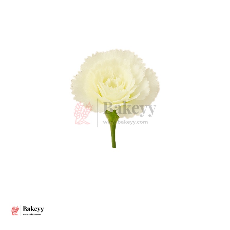 8cm Lorvox Carnation White Flower  | With Out Stem| Pack of 10