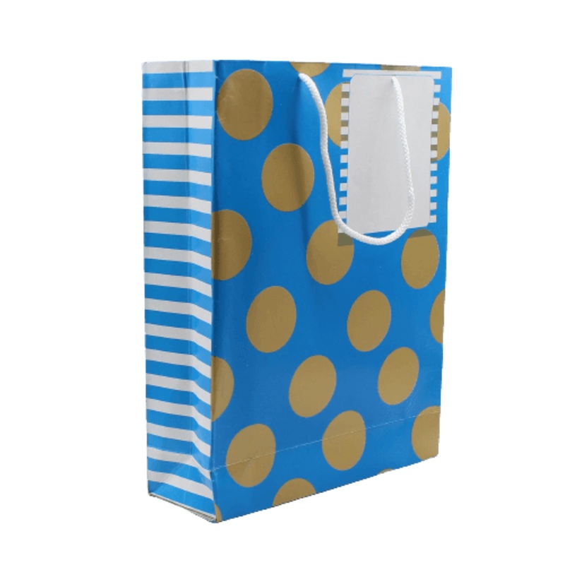 Paper Bag Printed White Space Given For Writing | Pack of 10