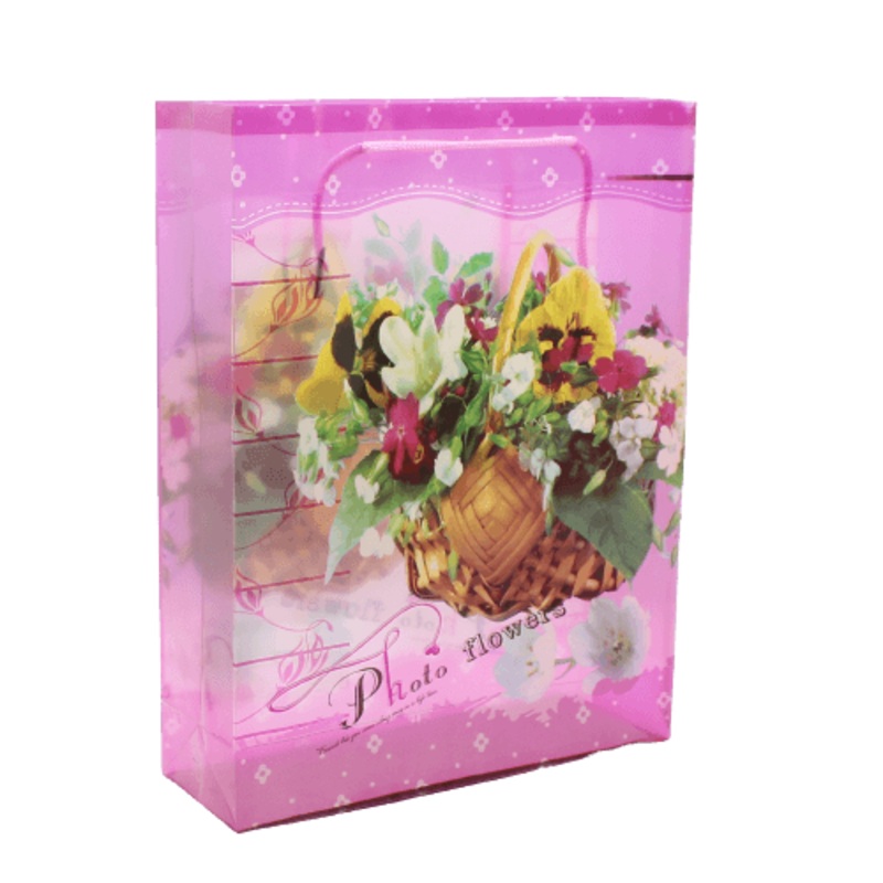 Pvc Bag Printed  Mixed Designs | Pack of 10