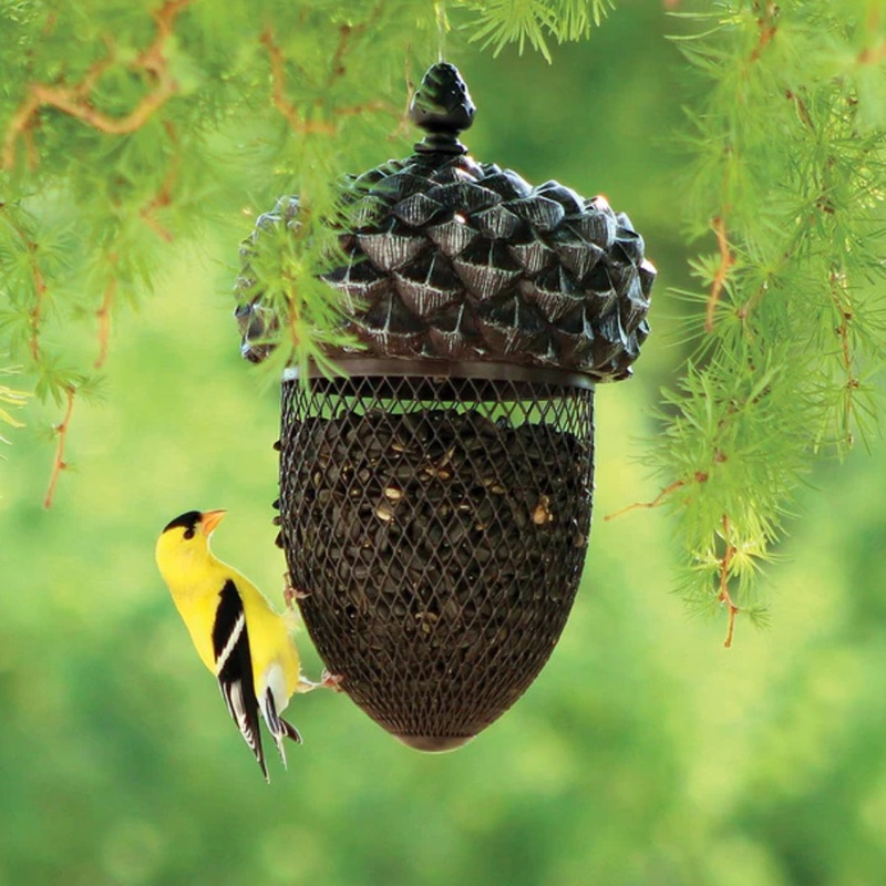 Mixed Acorn Feeders Seed