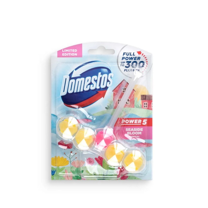 Domestos Power 5 Toilet Block  55g