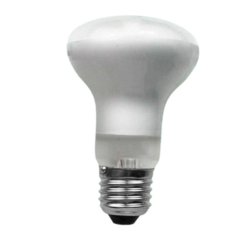 SPOT R63 25W ES Display Single  Energy-Efficient, High-Quality Light Bulb