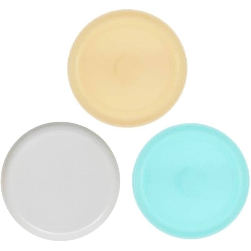 23cm Picnic Plates Set of 4