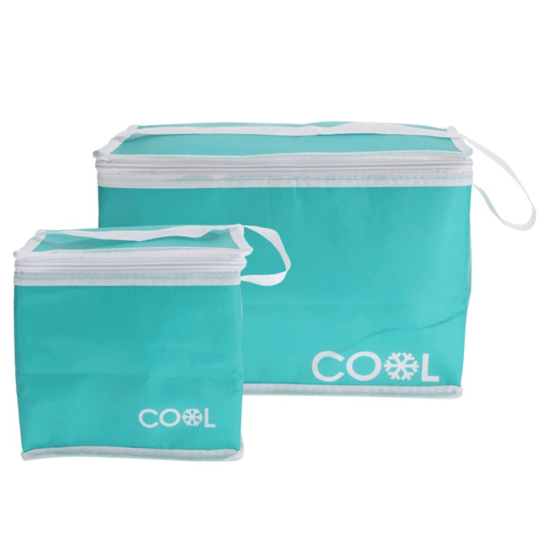 Assorted 2-Piece Cool Bag Set  4L & 10L Insulated Travel Bags